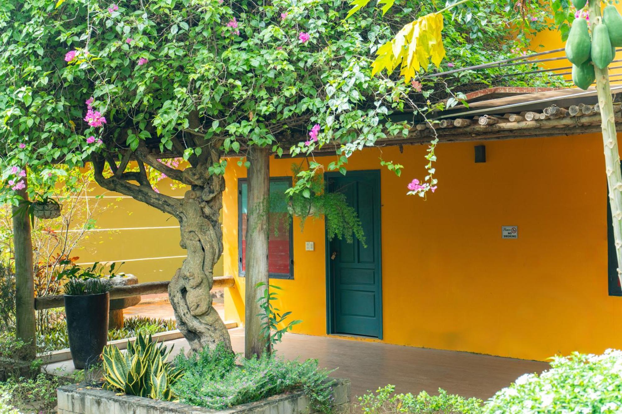 Greenfield Farmstay Vung Tau バリア エクステリア 写真